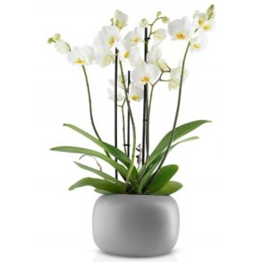 Eva Solo Stone Urtepotte - Ø 19 cm