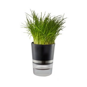 GEFU Krydderurtepotte, BOTANICO