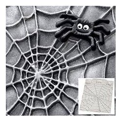 Katy Sue Spiders and Web