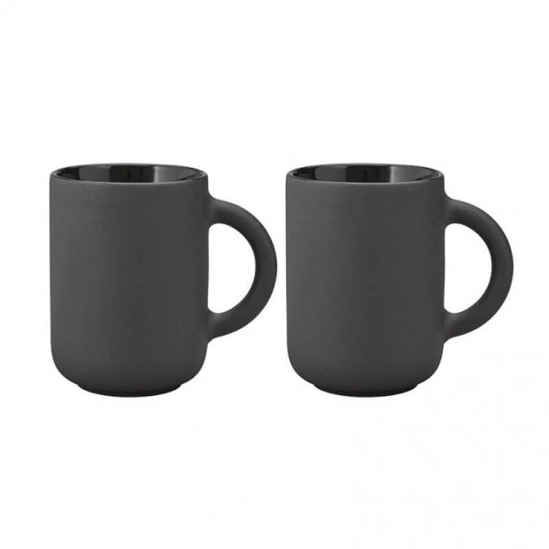 Stelton Theo Tekrus 35 cl. 2 stk